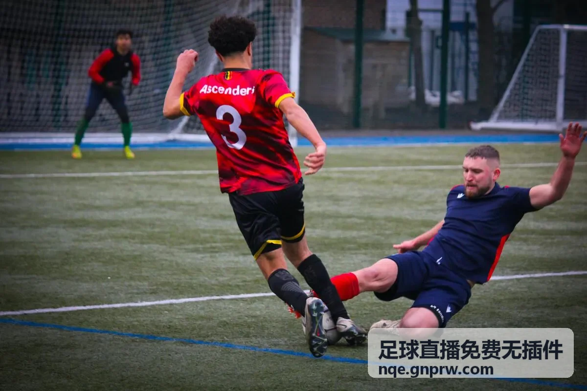 经典排球比赛视频在线观看